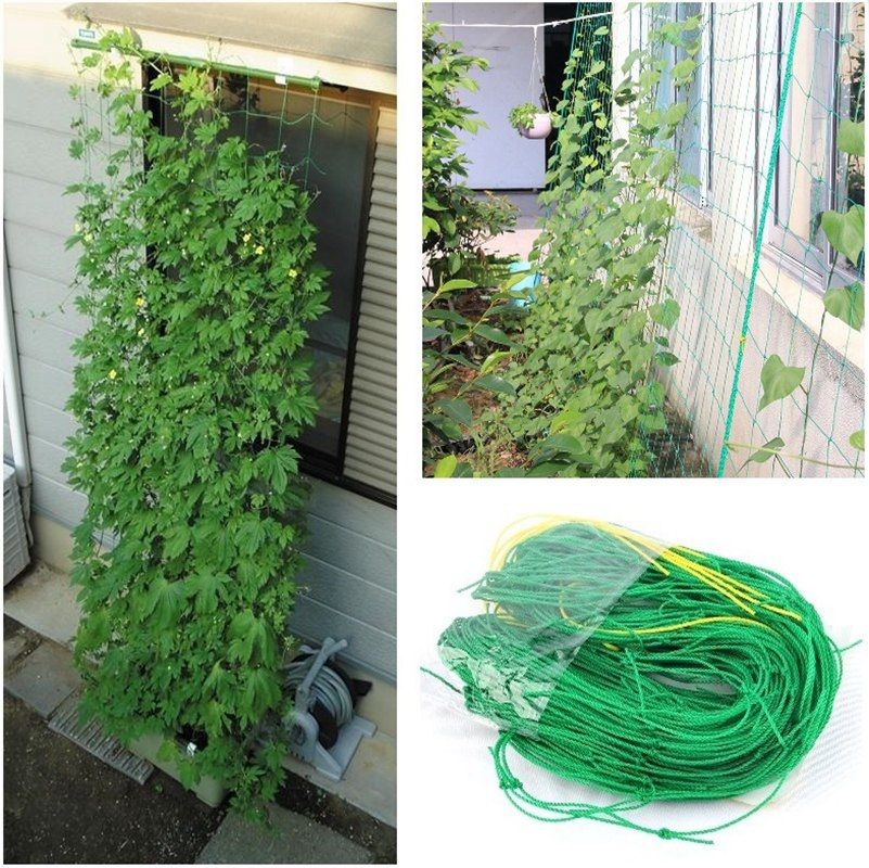 TripleClicks.com: Vegetables Flowers Plants Climbing Net